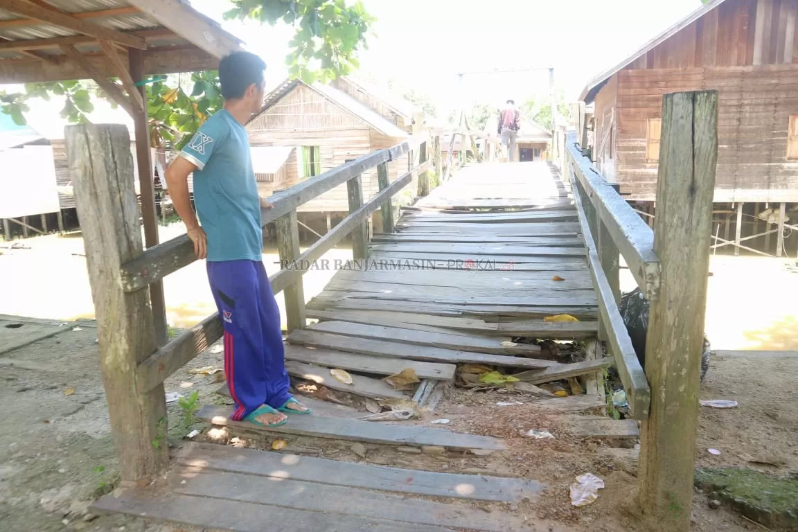 Salah seorang warga memperlihatkan lapuknya kayu pada kontruksi bawah jembatan ulin di Desa Gadung Hilir. | Foto: Rasidi Fadli/Radar Banjarmasin
