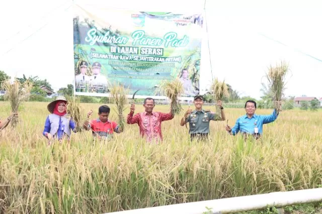 PANEN: Bupati Tala Sukamta melakukan panen raya padi di Desa Lok Serapang, merupakan hasil Program Serasi.