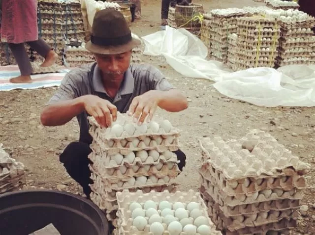 MENYUSUN: Pedagang telur itik di Pasar Alabio saat mengemas telur untuk dijual. | Foto: Muhammad/Radar Banjarmasin