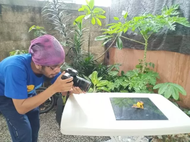 KREATIF: Fauzan Maududdin saat memotret seekor gecko jenis lemon frost yang diletakkan di atas meja, Minggu (19/4). Ketika tempat kerjanya libur, lantaran mewabahnya virus corona, warga Banjarbaru ini sekarang menekuni bidang makrofotografi. | FAUZAN MAUDUDDIN FOR RADAR BANJARMASIN