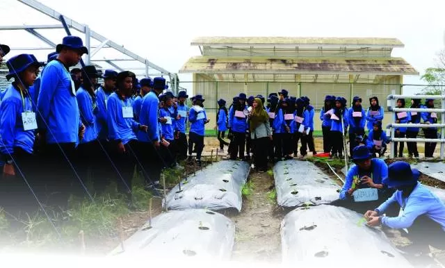SMK-PP Negeri Banjarbaru kembali membuka kesempatan bagi lulusan SMP/MA sederajat untuk di didik menjadi calon petani milenial melalui Penerimaan Peserta Didik Baru (PPDB) untuk Tahun Pelajaran (TP). 2020/2021, sesuai surat NOMOR : 741/SM.220/I.2.2/03/2020.