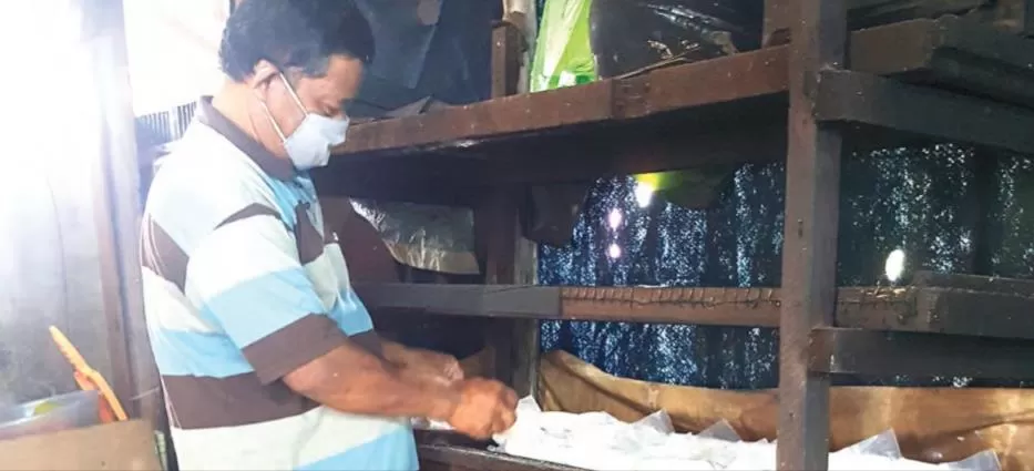 MENYUSUN TEMPE: Mahmud Ropi (51) menyusun tempe gembos yang akan dijual ke pasar. | FOTO: KARYONO/RADAR BANJARMASIN