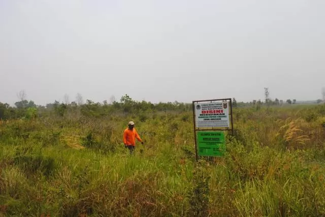 HUTAN LINDUNG: Suasana lokasi Hutan Lindung Liang Anggang (HL-LA) di Banjarbaru beberapa waktu lalu. Pemprov Kalsel tahun ini serius menjaganya, agar terhindar dari Karhutla. | FOTO: SUTRISNO/RADAR BANJARMASIN