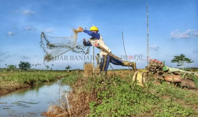 MANDIRI: Seorang warga desa di Kabupaten Kotabaru menjala ikan di kebunnya. Sejumlah desa di Kalsel memilih tidak mencairkan bantuan karena tak menemukan warga miskin desa. | DOK/RADAR BANJARMASIN