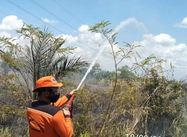 BERJIBAKU: Petugas gabungan berusaha memadamkan kebakaran hutan dan lahan di wikayah Banjarbaru beberaoa waktu lalu. | Foto: BPBD Kota Banjarbaru for Radar Banjarmasin