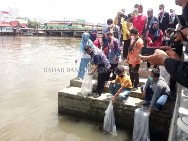 LESTARI: Wali Kota Banjarmasin, Ibnu Sina melepas ribuan anak ikan kelabau di tepi Sungai Martapura, kemarin (25/9). | FOTO: FAUZAN RIDHANI/RADAR BANJARMASIN