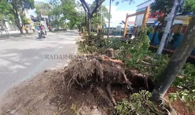 HANCUR: Sisa-sisa dari insiden pohon tumbang di Jalan Hasan Basry, Banjarmasin Utara. Foto diambil Minggu (27/12).