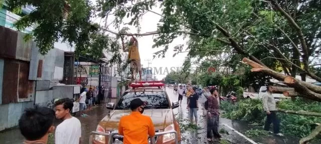 DAMPAK BANJIR: Warga Gang Daha dan tim BPBD Banjarmasin memotong pohon yang melintangi Jalan Veteran. | FOTO: MAULANA/RADAR BANJARMASIN