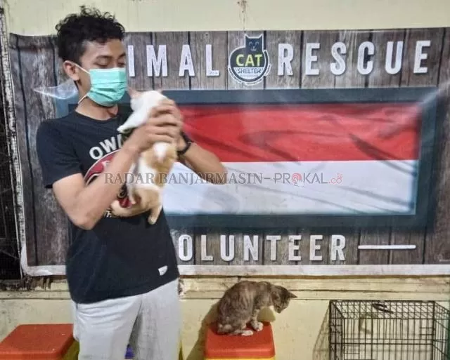 SAYANG KUCING: Sejak banjir melanda Banjarmasin, ada 40 ekor kucing yang dievakuasi dan ditampung kemari. | FOTO: ENDANG SYARIFUDDIN/RADAR BANJARMASIN