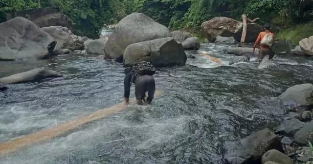 DILARUTKAN: Kayu log diturunkan dengan cara memanfaatkan aliran Sungai Benawa. Aktivitas illegal logging diduga menjadi salah satu penyebab banjir bandang yang meluluhlantakkan Kabupaten Hulu Sungai Tengah. | Foto: Istimewa