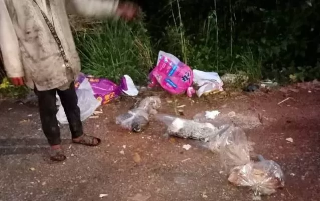 TIDAK DIKUBUR: Tangkapan layar video viral atas ditemukannya beberapa bangkai kucing terbungkus kantong plastik di tempat pembuangan sampah di Banjarmasin.