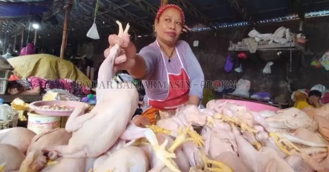 MAHAL: Pedagang di Pasar Sentra Antasari, Banjarmasin Tengah, Suriah menunjukkan ayam dagangannya. | FOTO: ENDANG SYARIFUDDIN/RADAR BANJARMASIN