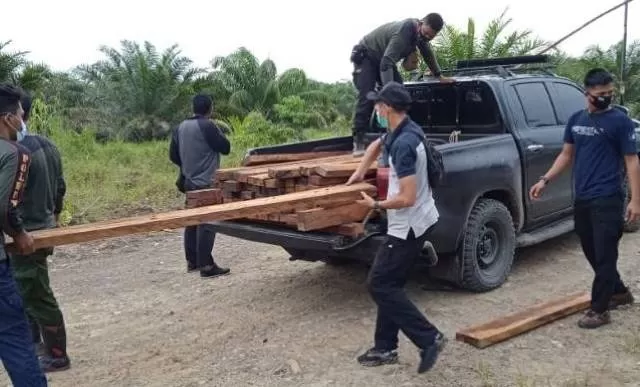 MASIH MARAK: Petugas saat mengamankan kayu dari hasil penebangan liar di KPH Sengayam, Kotabaru pekan lalu. | FOTO: DOK DISHUT KALSEL