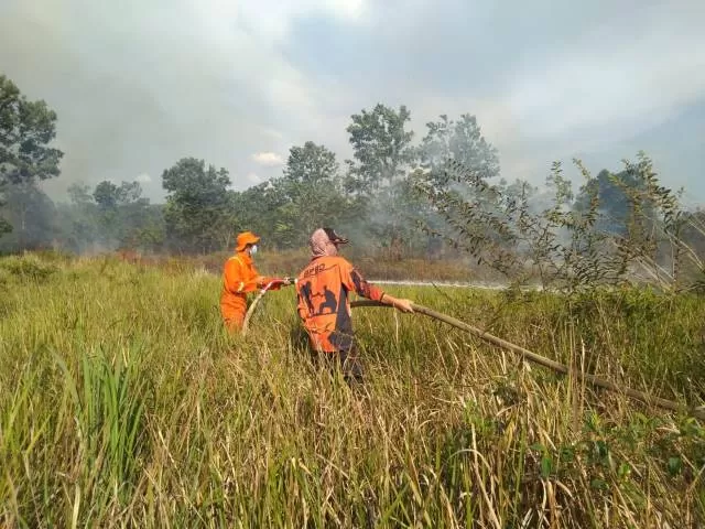 SUDAH DUA KALI: Petugas BPBD Kota Banjarbaru berusaha memadamkan kebakaran hutan dan lahan yang terjadi di wilayah Sungai Tiung Cempaka Banjarbaru baru-baru tadi. | Foto: BPBD Banjarbaru for Radar Banjarmasin