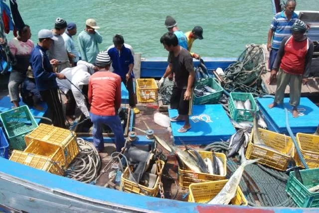 TAK BISA DIHINDARI: Penangkapan ikan masih terjadi di perairan Kalsel. Otoritas setempat sulit mencegah karena kekurangan alat dan SDM. | Foto: Istimewa