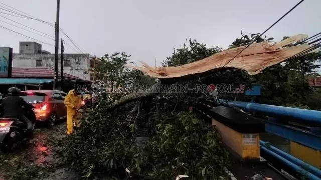 KENA KABEL: Pohon besar tumbang di atas jembatan Jalan Pramuka, dekat Kompleks Rahayu, Banjarmasin Timur. Di delapan lokasi berbeda juga terjadi peristiwa serupa. | FOTO: MAULANA/RADAR BANJARMASIN