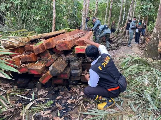 HASIL TANGKAPAN: Petugas saat menangkap kayu hasil pembalakan liar di hutan Kalsel beberapa waktu lalu. | FOTO: DOK/RADAR BANJARMASIN