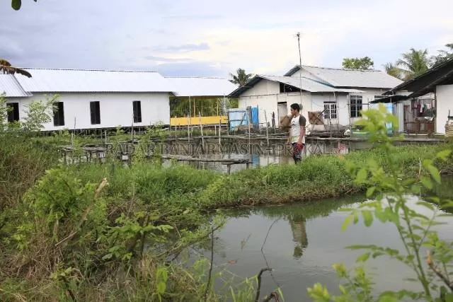 MASIH TERANCAM: Sejumlah tambak budidaya ikan milik warga di Kampung Iwak masih rawan terdampak luapan jika debit air meninggi. | Foto: Muhammad Rifani/Radar Banjarmasin