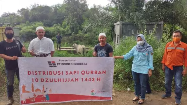 IDUL ADHA: 46 hewan kurban berupa sapi Brahman dan sapi Bali diserahkan PT BIB kepada masyarakat sekitar tambang dan stakeholder terkait.