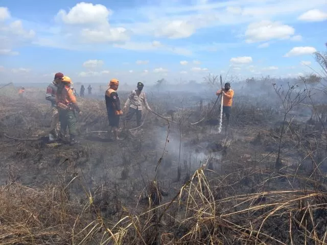 PENDINGINAN: Personel gabungan Satgas Karhutla Kabupaten Balangan berjibaku memadamkan titik api yang muncul. | FOTO: BPBD BALANGAN FOR RADAR BANJARMASIN