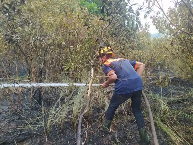 RAWAN: Petugas saat memadamkan kebakaran hutan beberapa waktu lalu. Walaupun musim kemarau tidak terlalu panas, namun karhutla masih mengancam. | FOTO: BPBD KALSEL FOR RADAR BANJARMASIN