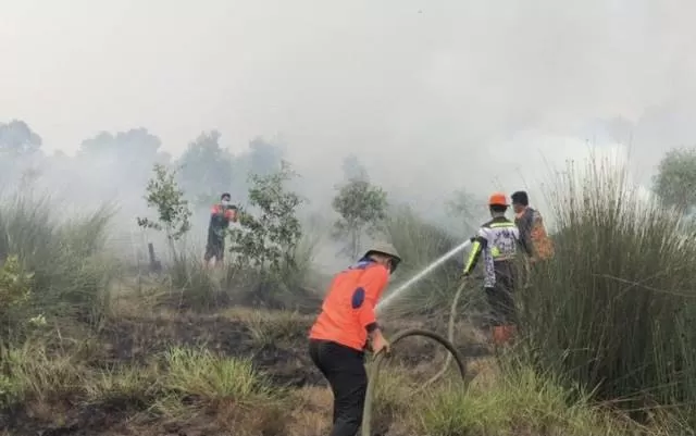 KABUT PEKAT: Kebakaran di pinggir Jalan A Yani jurusan Pelaihari Km 26 Pengayuan Landasan Ulin Selatan Liang Anggang Banjarbaru kemarin siang | FOTO: IST