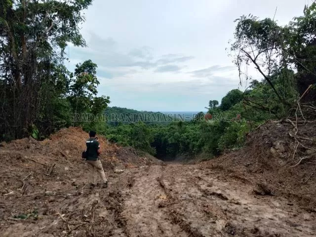 POLEMIK: Wilayah bukaan lahan di Hutan Batu Harang, Desa Mangunang Seberang, Kecamatan Haruyan, Hulu Sungai Tengah. | FOTO: JAMALUDDIN/RADAR BANJARMASIN