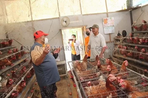 KUNJUNGAN: Habib Aboe mendatangi kandang ayam milik peternak telur ayam di Desa Gambang Mahulung, Kecamatan Kandangan. | FOTO: istimewa