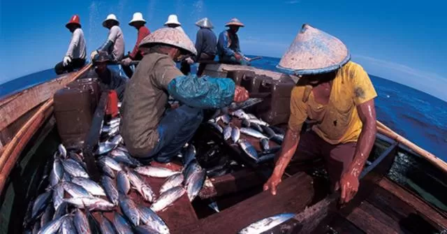 HASIL LAUT: Hasil tangkap ikan di lautan oleh nelayan. Lautan Kalsel masih rawan pencurian ikan dengan alat tangkap cantrang.
