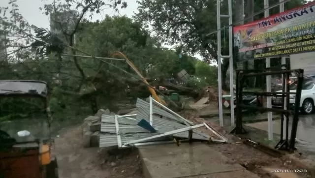TUMBANG: Kondisi pohon tumbang di Jalan A Yani, Km 40 atau tepat di depan Pasar Batuah Martapura tumbang, Kamis (11/11), sekitar pukul 17.15 Wita tadi.