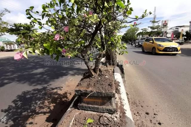 BERHAMBURAN: Perusakan pot bunga di median ini terjadi di Jalan Ahmad Yani kilometer lima. Ini bukan perusakan yang pertama. Diduga, pelakunya masih sama.