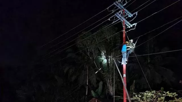 PERBAIKI JARINGAN: Petugas PLN memperbaiki jaringan listrik .  PLN Kalselteng memastikan kondisi kelistrikan aman meski cuaca ekstrem. | Foto: Ist