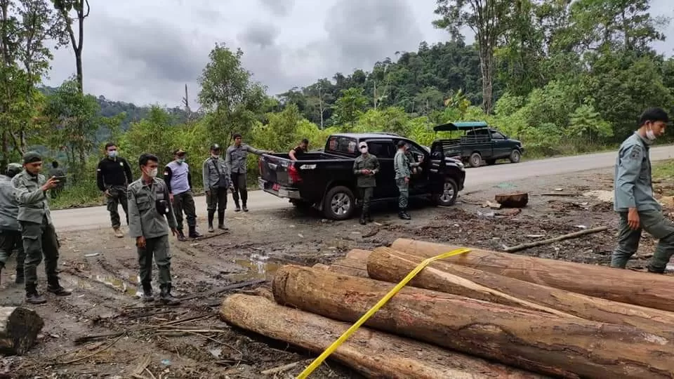 MARAK LAGI: KPH Kusan Tanah Bumbu saat menemukan tumpukan kayu ilegal pada 8 Desember 2021 tadi. | FOTO: DISHUT KALSEL FOR RADAR BANJARMASIN