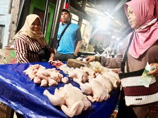 TINGGI: Harga jual ayam potong di Banjarmasin masih terbilang tinggi. Hal ini dikarenakan harga jual dari pemasok yang tak kunjung turun, ditambah harga pakan ayam juga mengalami kenaikan.