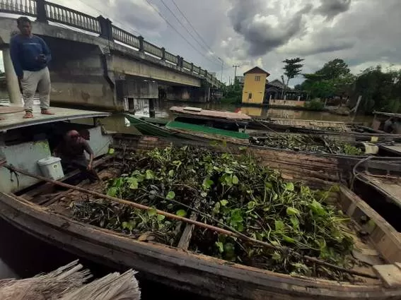TUMPAHAN MINYAK: Eceng gondok penangkap ceceran minyak yang mencemari Sungai Awang Banjarmasin. FOTO : WAHYU RAMADHAN/RADAR BANJARMASIN