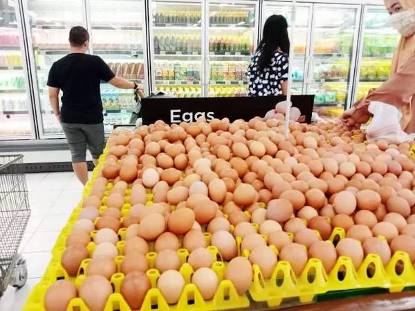 PASOKAN AMAN: Walaupun harganya naik, Kalsel ternyata mampu memproduksi 175 ton telur ayam per hari. Sementara, tingkat kebutuhan telur ayam untuk pasar lokal Kalsel berada di kisaran 140 ton per hari.