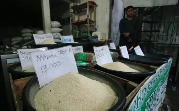 TERUS NAIK: Harga beras mengalami kenaikan yang dipicu akibat gagal panen. Kondisi ini makin membuat masyarakat menjerit akibat dibarengi dengan kenaikan harga BBM. FOTO: MUHAMMAD RIFANI/RADAR BANJARMASIN