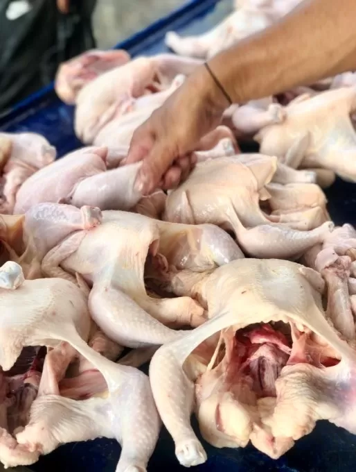 NAIK TURUN: Harga modal ayam ras masih berada di angka Rp27 ribuan per ekor, kemarin (7/5). | Foto: Tia Lalita Novitri/Radar Banjarmasin