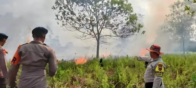 TERBAKAR : Petugas Siaga Karhutla Kota Banjarbaru bersama relawan gabungan sedang berjibaku memadamkan api yang berkobar lahan gambut wilayah Guntung Manggis (FOTO: POLSEK LIANG ANGGANG UNTUK RADAR BANJARMASIN)