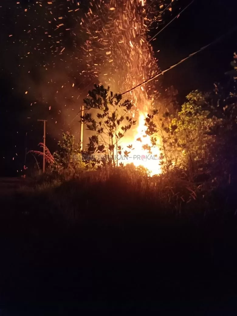 KARHUTLA: Petugas BPBD bersama PMK Bulungan melakukan pemadaman api di Km 6, Jelarai Selor, Sabtu (22/2) malam.