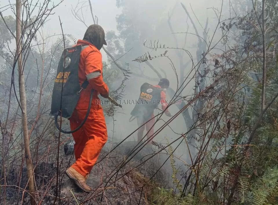 PADAMKAN API: Personel gabungan BPBD Nunukan, Disdamkar dan TNI-Polri saat berusaha memadamkan api yang melahap lahan seluas 8,1 ha, Sabtu (7/3).