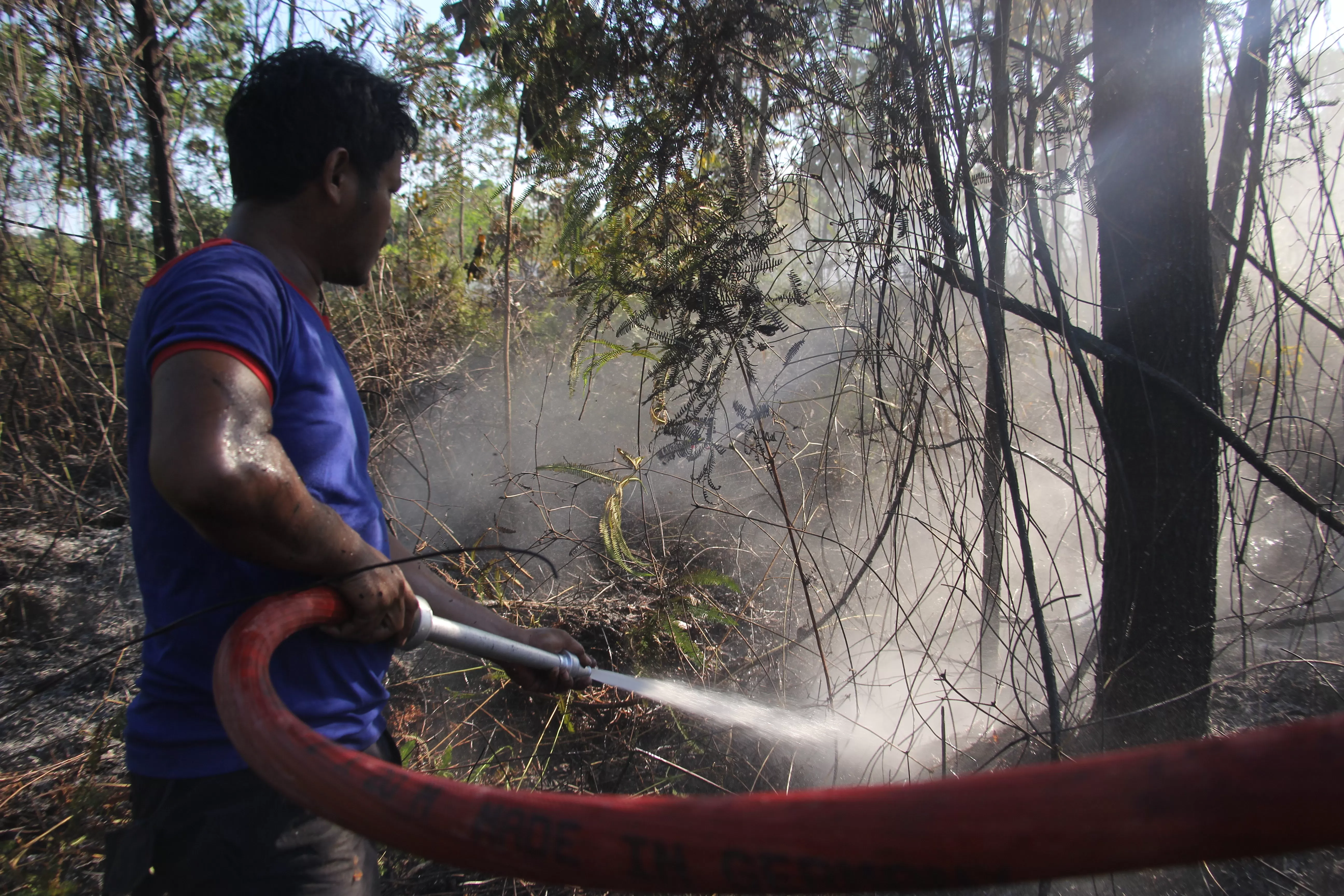 KARHUTLA: Petugas berjibaku memadamkan api di lahan perkebunan warga di Desa Gunung Sari, Kecamatan Tanjung Selor, Bulungan.