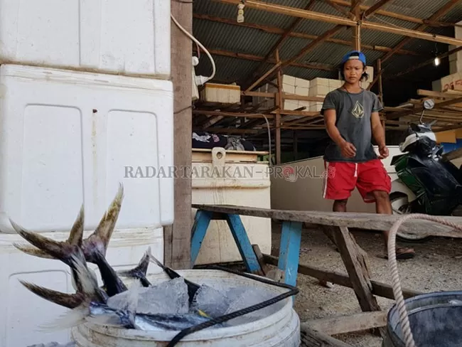 HARGA STABIL: Meski ekspor hasil perikanan ke Tawau, Malaysia terhenti karena diberlakukannya lockdown di Malaysia, harga jual ikan masih terbilang stabil. FOTO: RIKO ADITYA/RADAR NUNUKAN