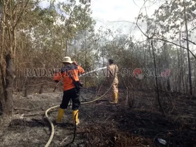 TERBAKAR: Personel BPBD Bulungan memadamkan lahan milik warga yang terbakar di Km 6. FOTO: BPBD BULUNGAN