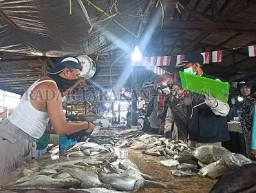 MONITORING: Tim Inspeksi Pengendalian Mutu dan Keamanan Hasil Perikanan Tarakan melakukan inpeksi di tiga pasar tradisional, Selasa (11/8)./JANURIANSYAH/RADAR TARAKAN