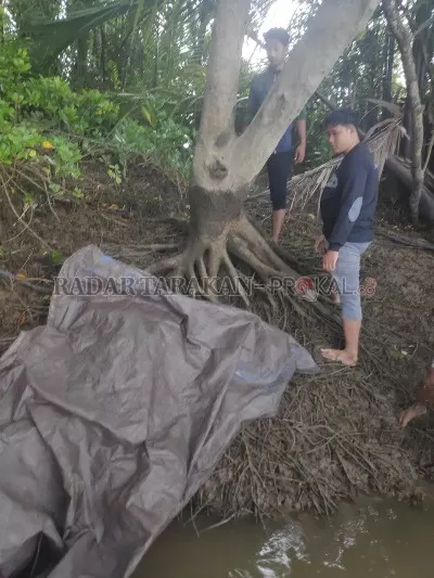 DITEMUKAN: Korban saat ditemukan di sungai Bebatu oleh tim gabungan SAR Tana Tidung./BPBD / RADAR TARAKAN