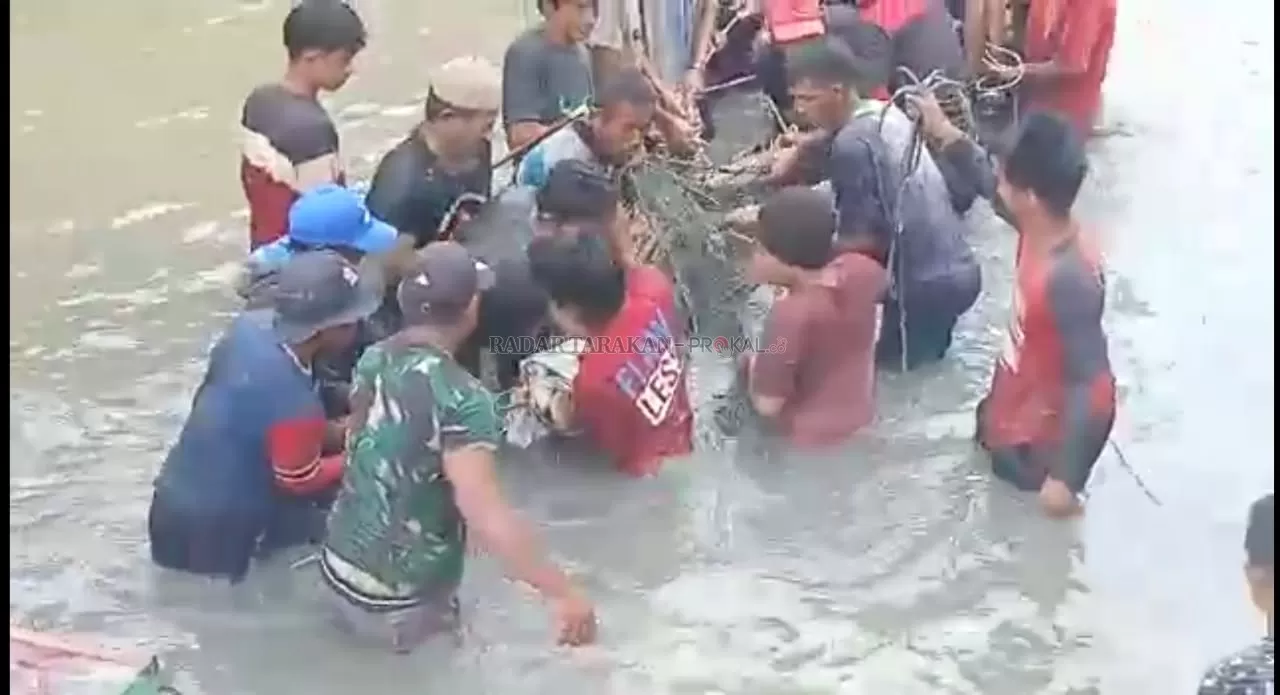 HEROIK: Warga di Kelurahan Mansapa bersama-sama langsung menangkap buaya yang memangsa Ilham di sungai. Tampak buaya berhasil dijinakkan dan diikat oleh warga. IST
