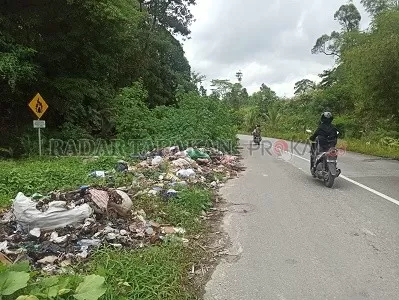 BAU MENYENGAT: Salah satu titik di Jalan Gunung Selatan yang menjadi tempat pembuangan sampah oleh oknum tak bertanggung jawab./JANURIANSYAH/RADAR TARAKAN