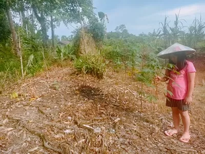 BERKEBUN: Salah satu anak terlihat sedang berkebun di Kabupaten Malinau. HADI ARIS ISKANDAR/RADAR TARAKAN