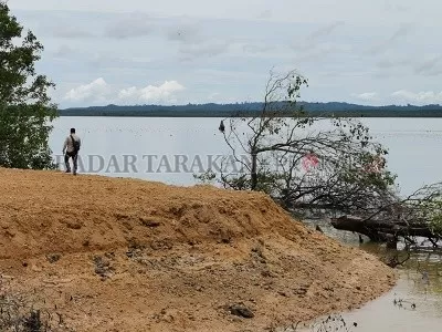 TAK BERIZIN: Hutan mangrove di Jalan Lingkar, Nunukan Selatan rusak akibat dugaan dibukanya lahan untuk keperluan pembangunan dermaga./RIKO ADITYA/RADAR TARAKAN